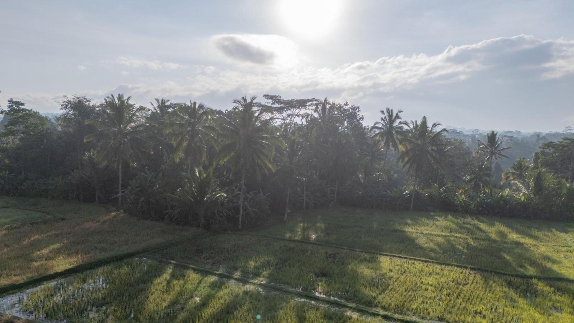 Aditara Sebatu Villa 乌布 外观 照片